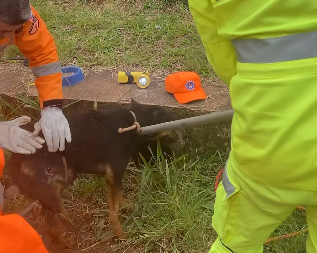 Ação conjunta entre o Instituto Habitat e o Corpo de Bombeiros resgata cão de tubulação em Ouro Preto