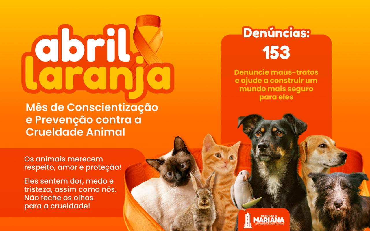 Abril Laranja: Mês da Conscientização e Prevenção contra a Crueldade Animal