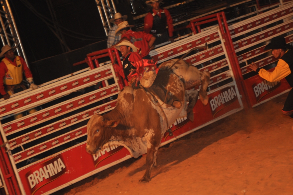 ONG Vida Animal defende fim dos rodeios em Itabirito durante fala na Tribuna Livre da Câmara